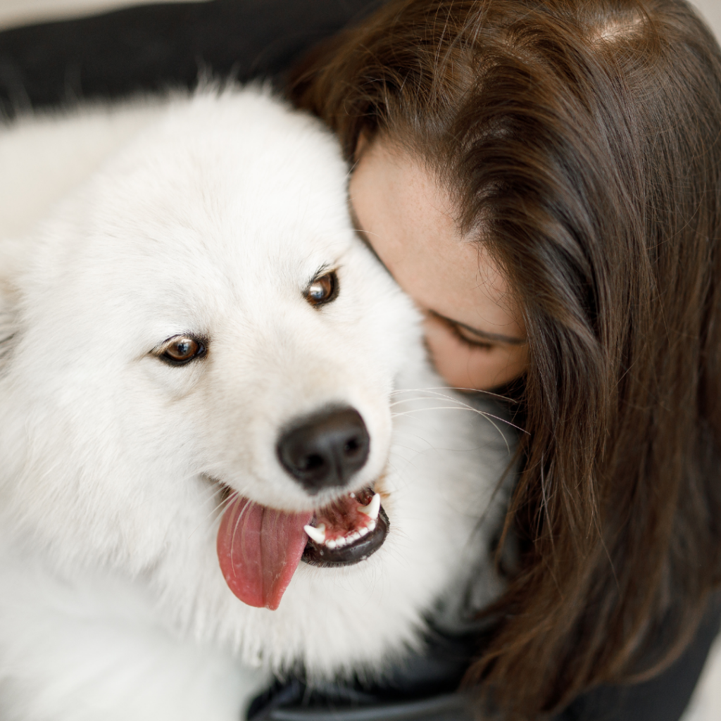 Mulher abraçando um cachorro branco. O seu cão não gosta de ser abraçado