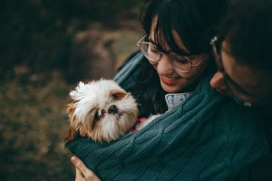 Em que as pessoas "de gato" e "de cachorro" diferem de acordo com pesquisas realizadas.