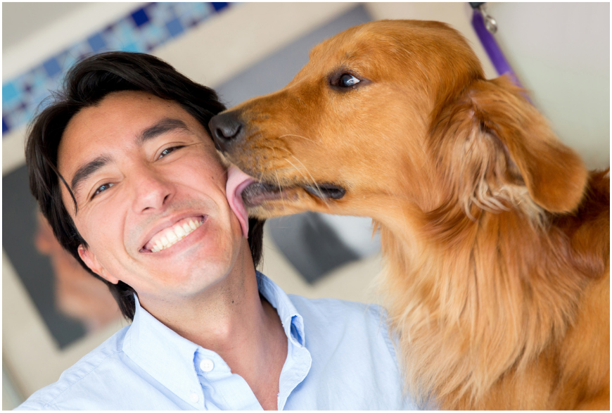 Cachorros lambem porque amam seus donos dentre outras razões.