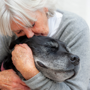 Uma das razões para idosos ter cachorros é que ajuda a melhorar a função cognitiva daqueles com doenças mentais