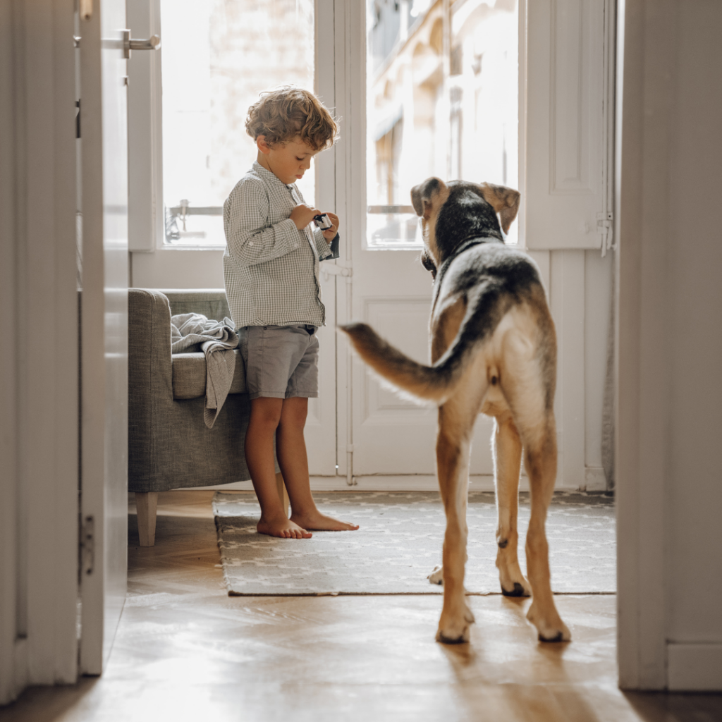 Ter um cachorro em apartamento, é possível? Sim... desde que você siga as regras do condomínio, não há problema.