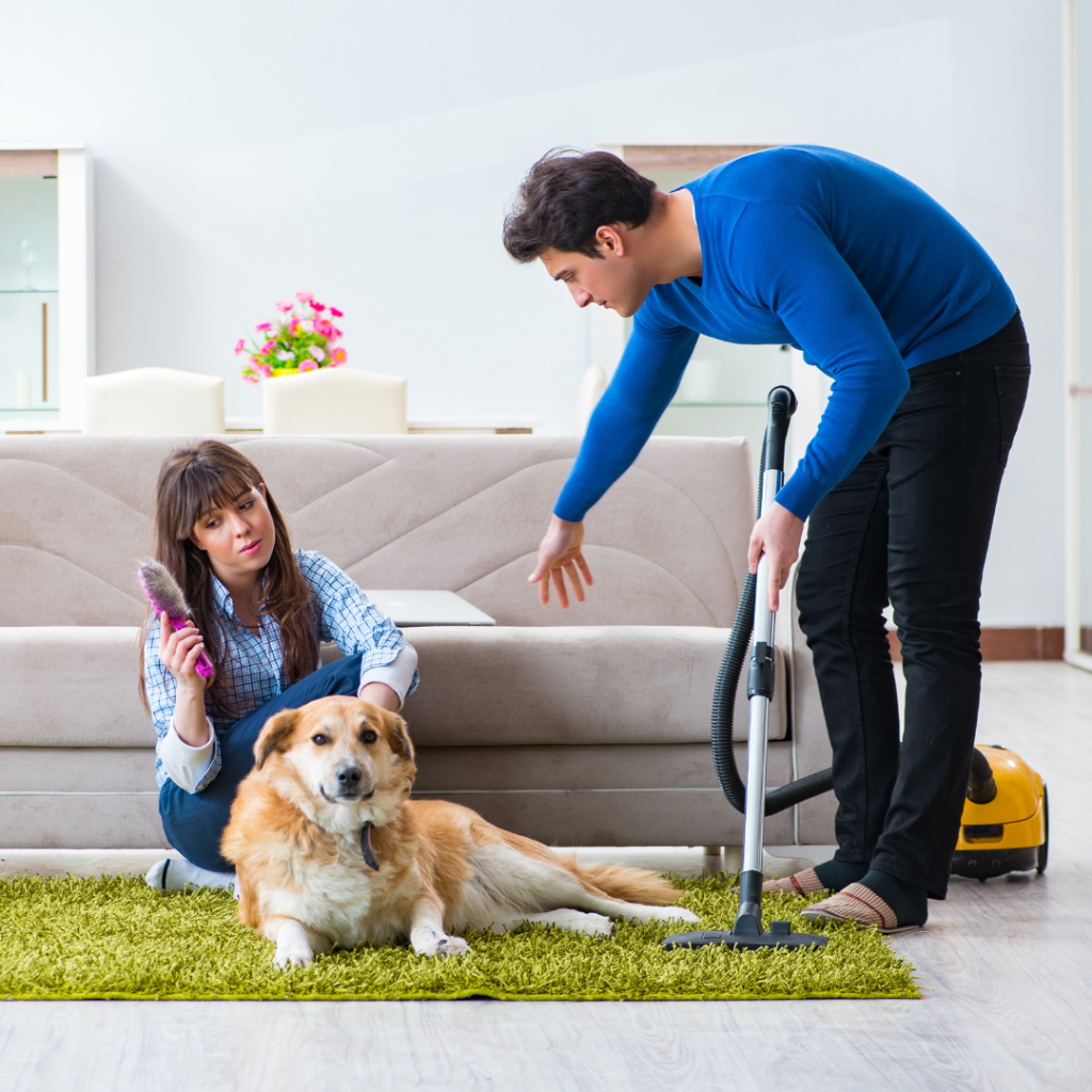Quem tem pet sabe dos desafios de manter a casa limpa. É necessário estabelecer uma rotina de limpeza.